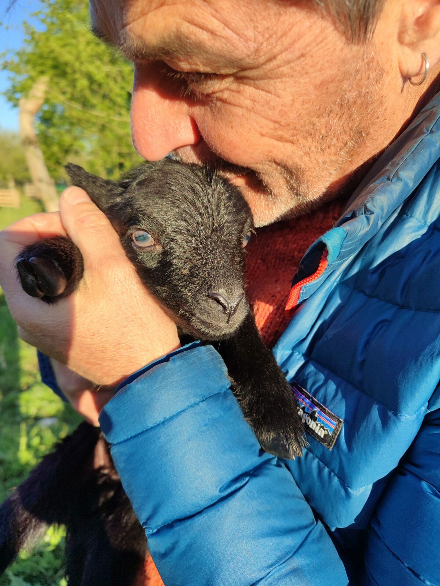 Photo de Jérôme Tropini et un agneau